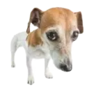 d_sideeye