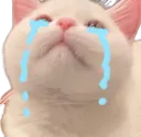 GPz2_CatCry
