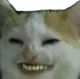 FeelsHurrrMon