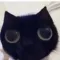 catLooking catLooking