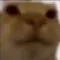 catBig