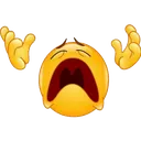 whyyyyyyyy