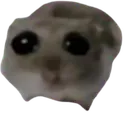bendeuzuldum