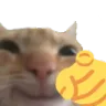 kathihahowijzen