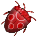 Raspberry_Beetle