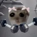 rachelgym