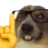 dognerd