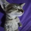bmimiukk bmimiukk