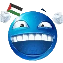 be_palestineflag