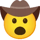 cowboywhoa