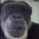 ape