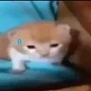 noword noword