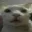hexrt_emoji6795