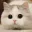 hexrt_placekittystare