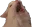 hexrt_thurston10