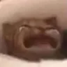 WaaaCat