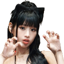 cNattyKitty Discord emoji