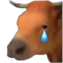 UuuU