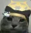 maricat