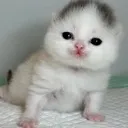 emoji_36 emoji_36