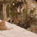 ElgatoSuspicious