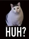 huhcat
