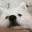 hexrt_boop