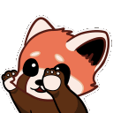 Red panda reaching forward with its paws in a cute, pleading gesture.