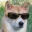 hexrt_cooldoggo