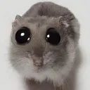 emoji_31