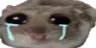 hamcry