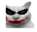 Cat_Jopker