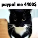 paypalme4400