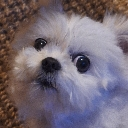 f_Woah Discord Emoji | ☽・𝙇𝙪𝙣𝙖𝙧 𝙇𝙤𝙪𝙣𝙜𝙚・☽ 𝘈𝘯𝘪𝘮𝘦 ✦ 𝘔𝘶𝘴𝘪𝘤 ✦ 𝘊𝘩𝘢𝘵