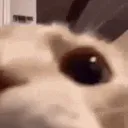HORISHIT HORISHIT