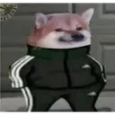 doguin