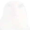 __
