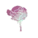 flowerpink2
