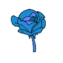 93771flowerblue