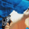 CatDuckGun