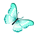 69205butterflymint