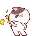 zdabbing_cat_brown_white