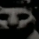 dark dark