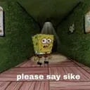 pleasesaysike