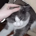 SalamiPet