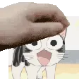 hypannd_pat