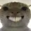 catgrin