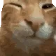buhbye