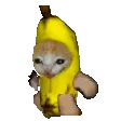 run_banana_cat