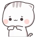 idunnokitten482